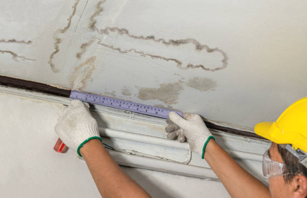 Reliable Water Damage Restoration contractor in Sterling, KS by Water Damage Irwin
